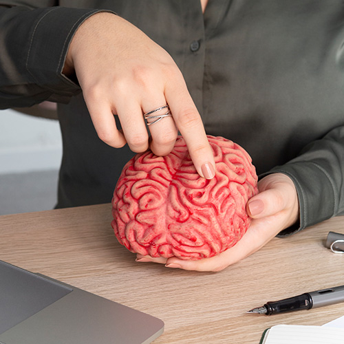 Neuropsychiatry Product List