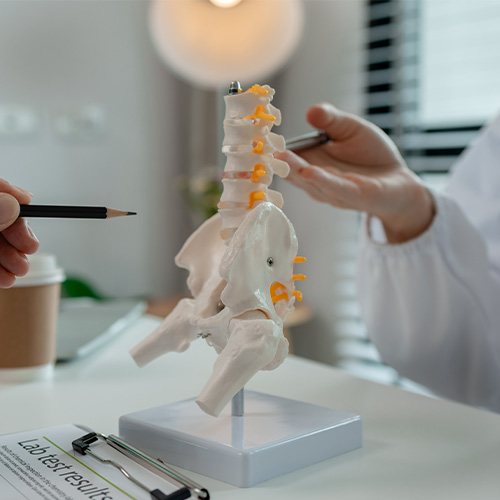 Orthopedic Product List