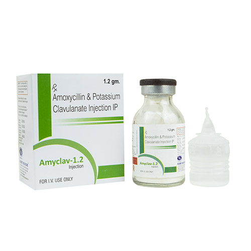 AMYCLAV-1.2 Injection