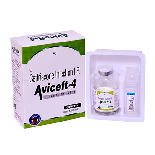 CEFTRIAXONE IP 4000mg Dry Injection(Vet.)