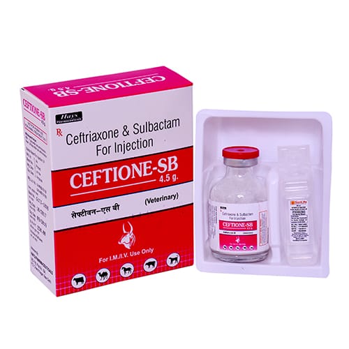 CEFTRIAXONE & SULBACTAM 4.5g Dry Injection(Vet.)