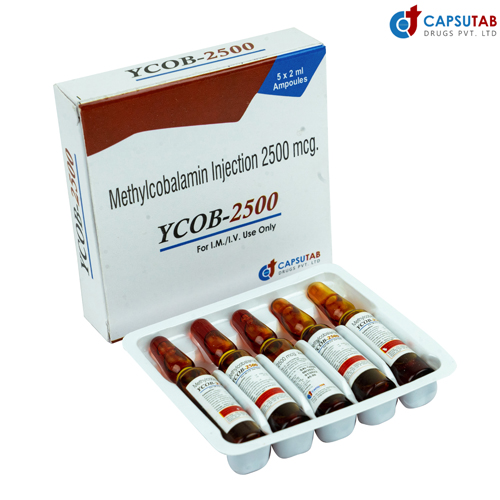 YCOB-2500 Injection