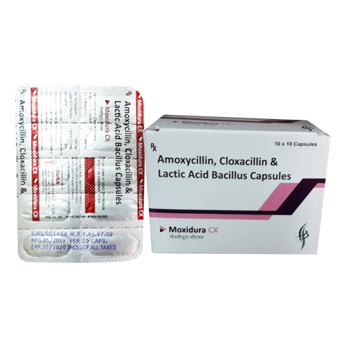 AMXOYCILLIN + CLOXCILLIN + LACTIC ACID BACILLUS Capsules