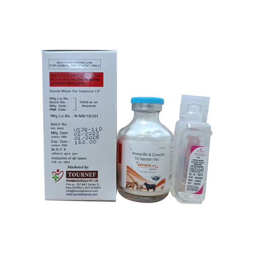 Amoxycillin + Cloxacillin Injection (Vet)